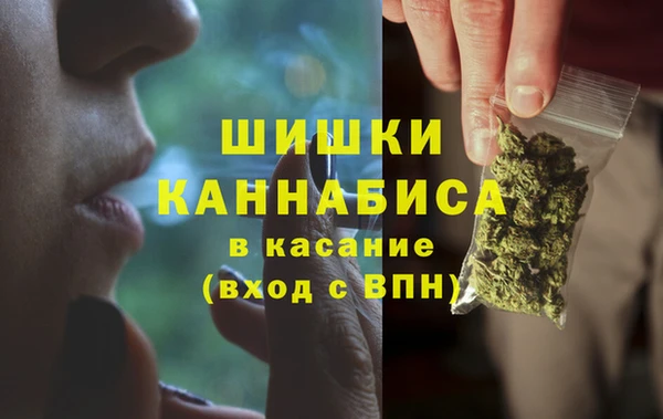 винт Армянск