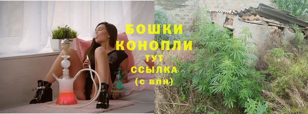 винт Армянск