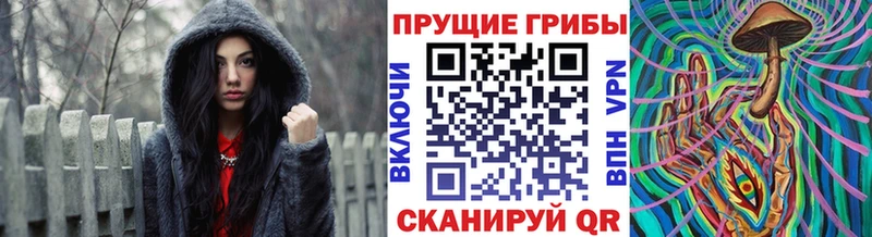Галлюциногенные грибы Psilocybe  Сретенск 