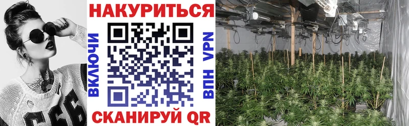 Марихуана White Widow Сретенск